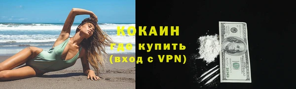 трава Новозыбков