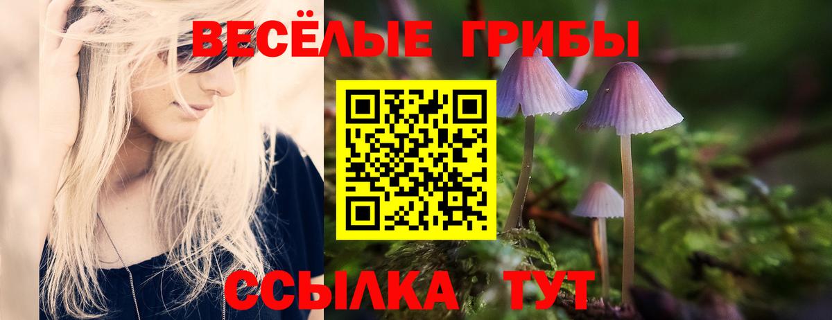 Соликамск  как найти закладки  Вход с VPN  Галлюциногенные грибы Psilocybine cubensis 
