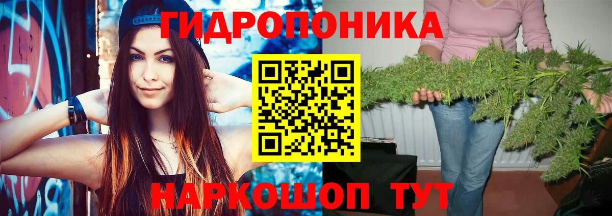 Соликамск  Канабис план  Конопля тримм  Шишки марихуана конопля  Вход с VPN 